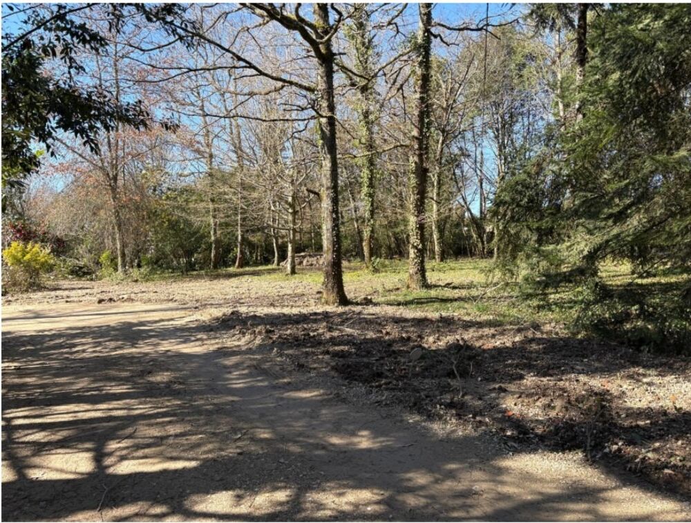 vente Terrain - 1500 m² Carignan-de-Bordeaux (33360)