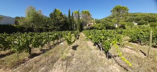  Terrain � vendre 914 m�