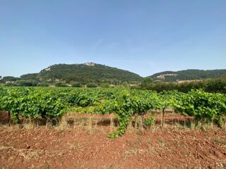  Terrain 426 m� Gonfaron