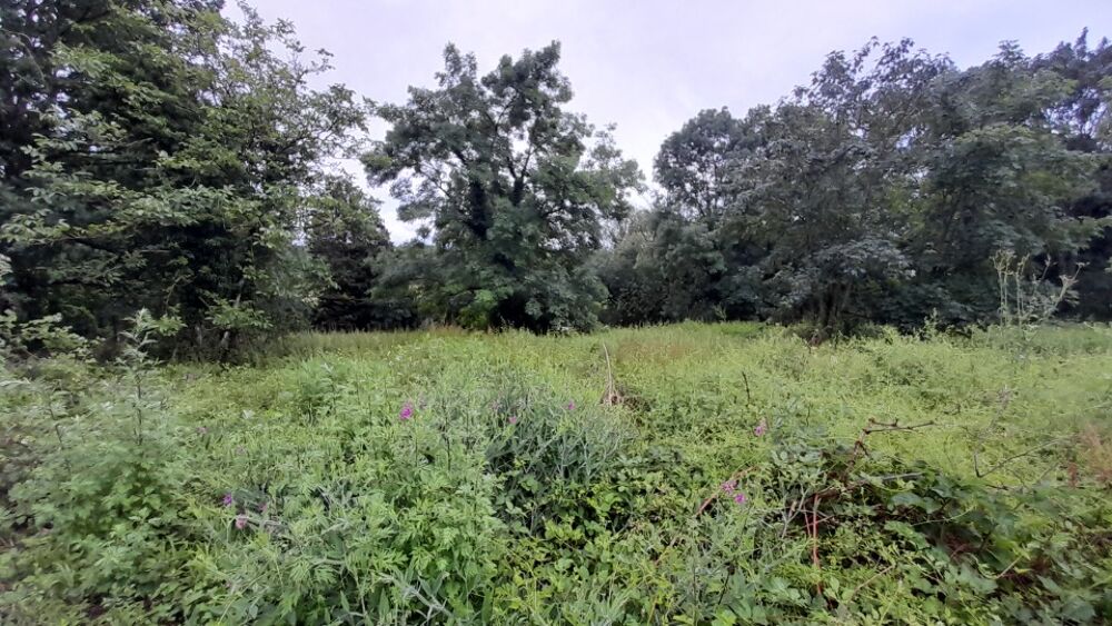 vente Maison - 7 pièce(s) - 160 m² Gif-sur-Yvette (91190)