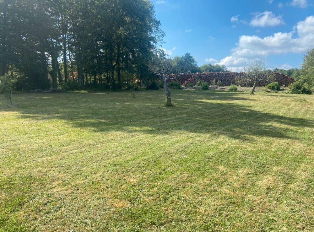 vente Terrain - 1433 m² Ambazac (87240)