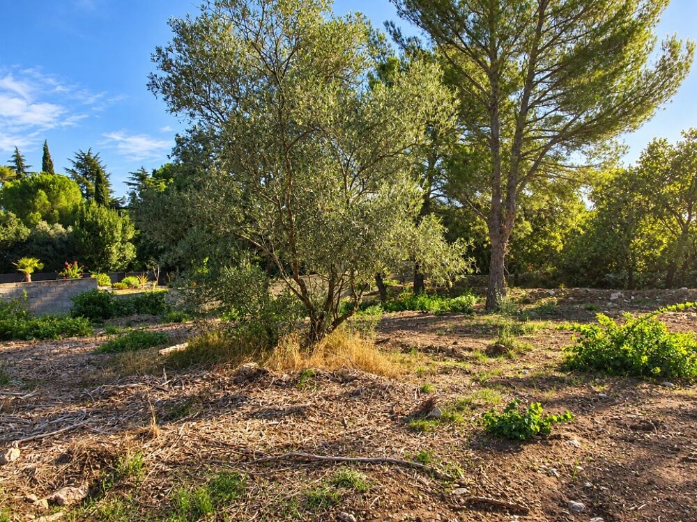 vente Maison - 5 pièce(s) - 80 m² Nimes (30900)