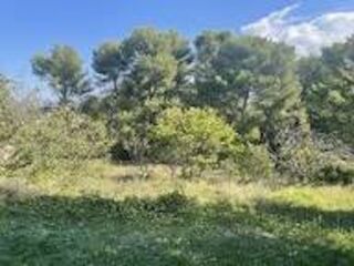  Terrain � vendre 476 m�