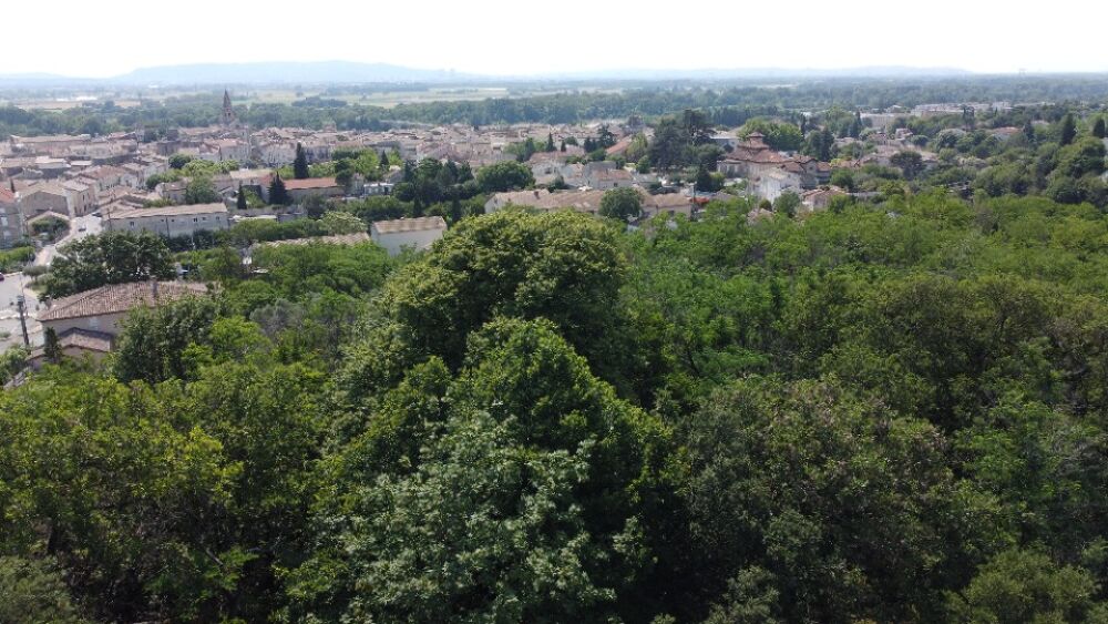 vente Terrain - 603 m² Bourg-Saint-Andéol (07700)