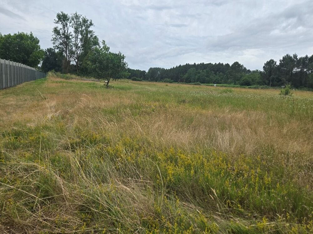 vente Terrain - 800 m² Bourg (33710)