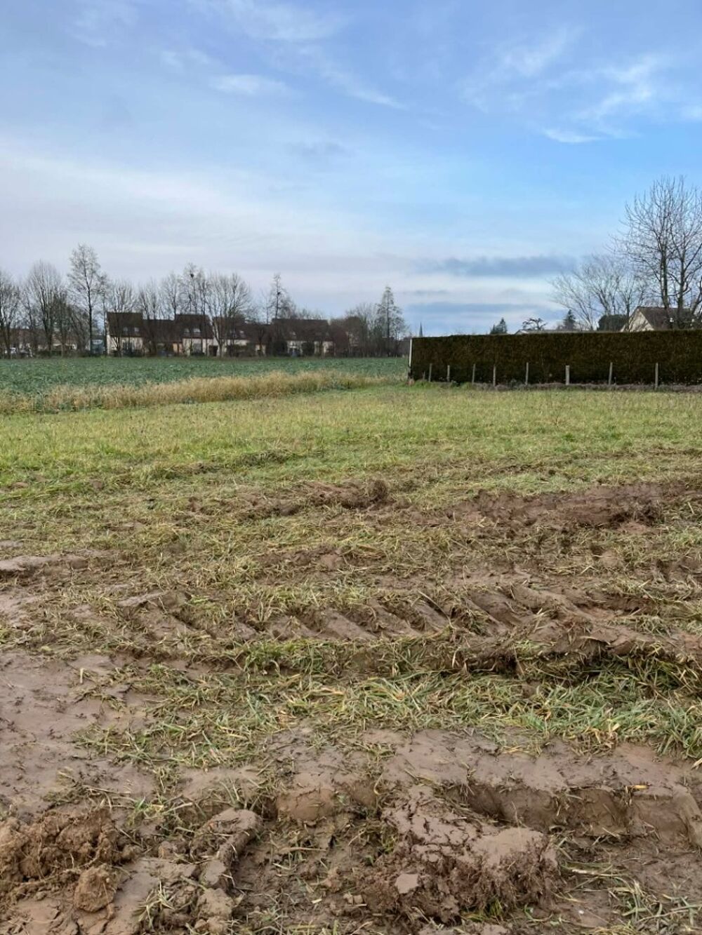 MAISON À CONSTRUIRE DE 150 M² À SAINT-RÉMY-DES-MONTS, PR....