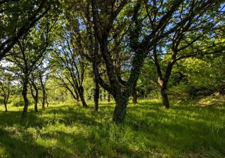  Terrain à vendre 1200 m²