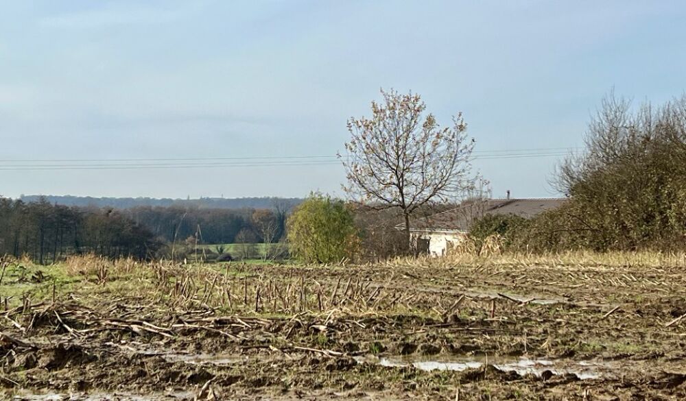 vente Terrain - 1331 m² Polliat (01310)