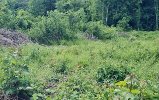  Terrain � vendre 700 m�