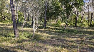  Terrain � vendre 1409 m�