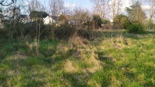  Terrain 1200 m Podensac