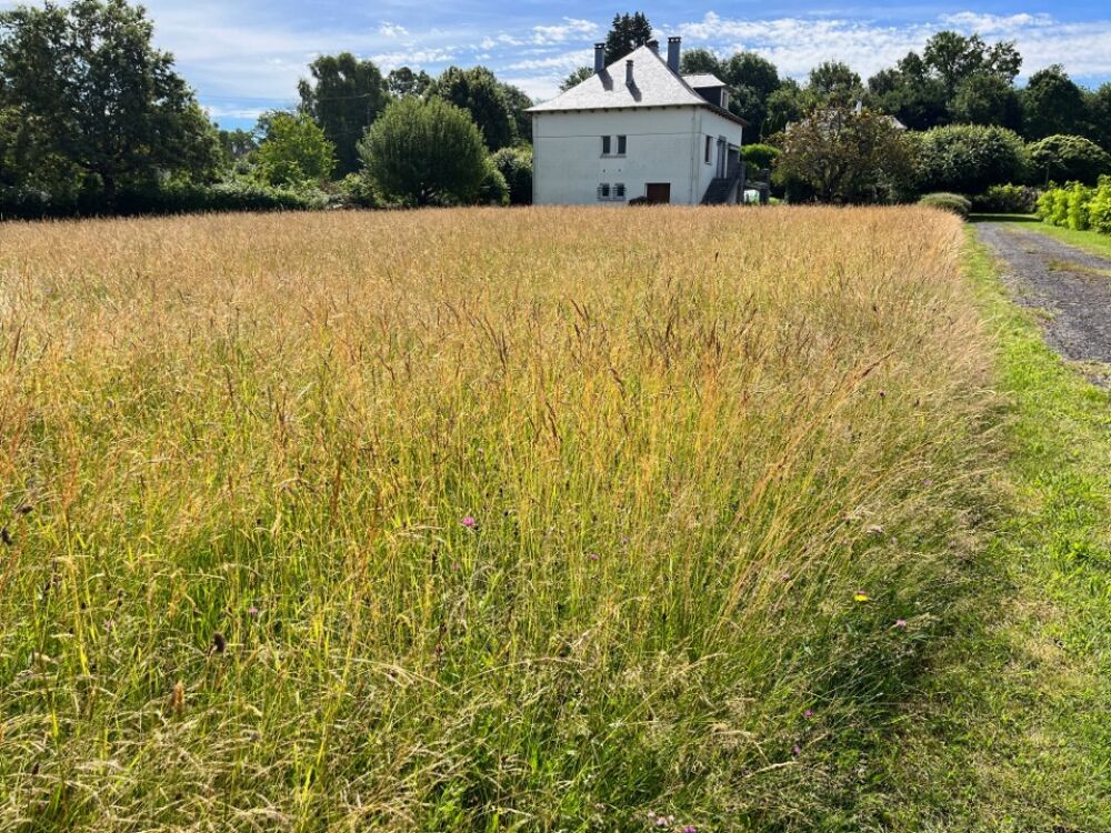 vente Terrain - 1100 m² Ytrac (15130)