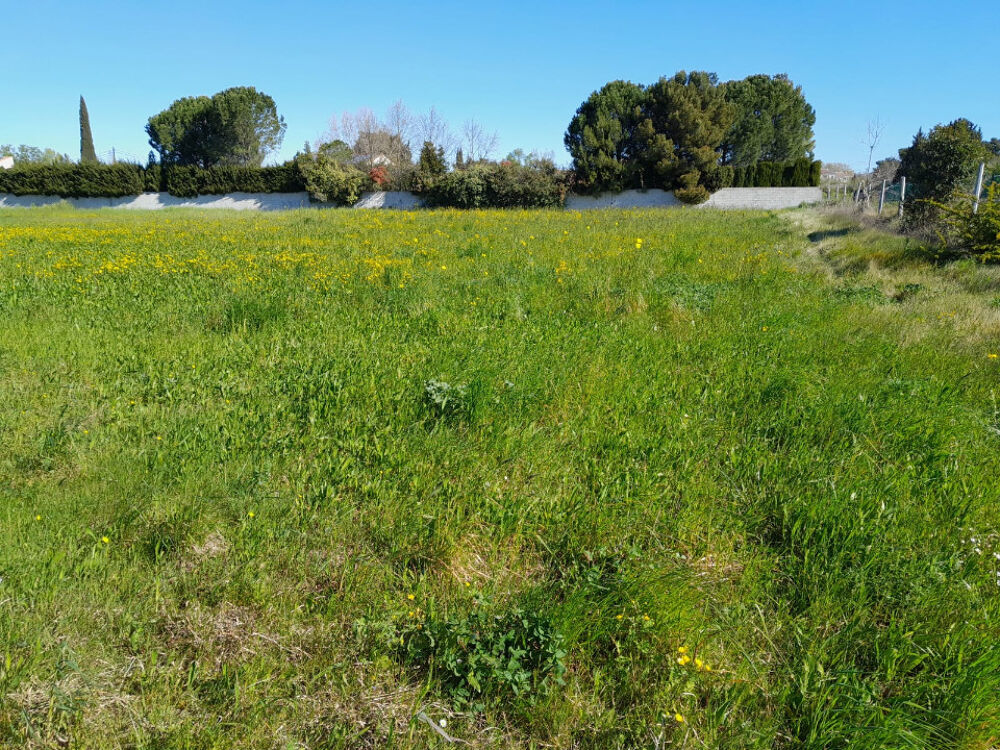 vente Maison - 5 pièce(s) - 100 m² Bédarrides (84370)
