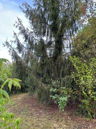  Terrain � vendre 500 m�