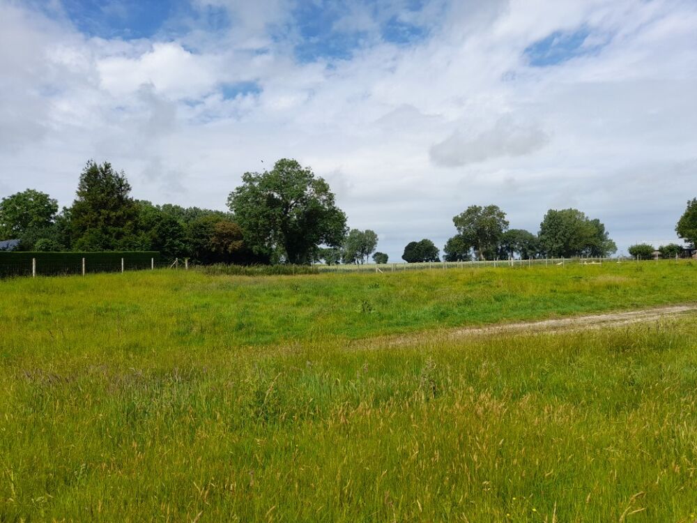 vente Maison - 6 pièce(s) - 174 m² Greny (76630)