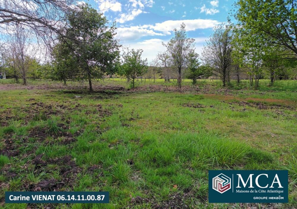 vente Terrain - 350 m² Gastes (40160)