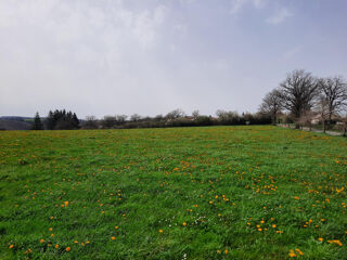  Terrain 1500 m� Roannes-saint-mary