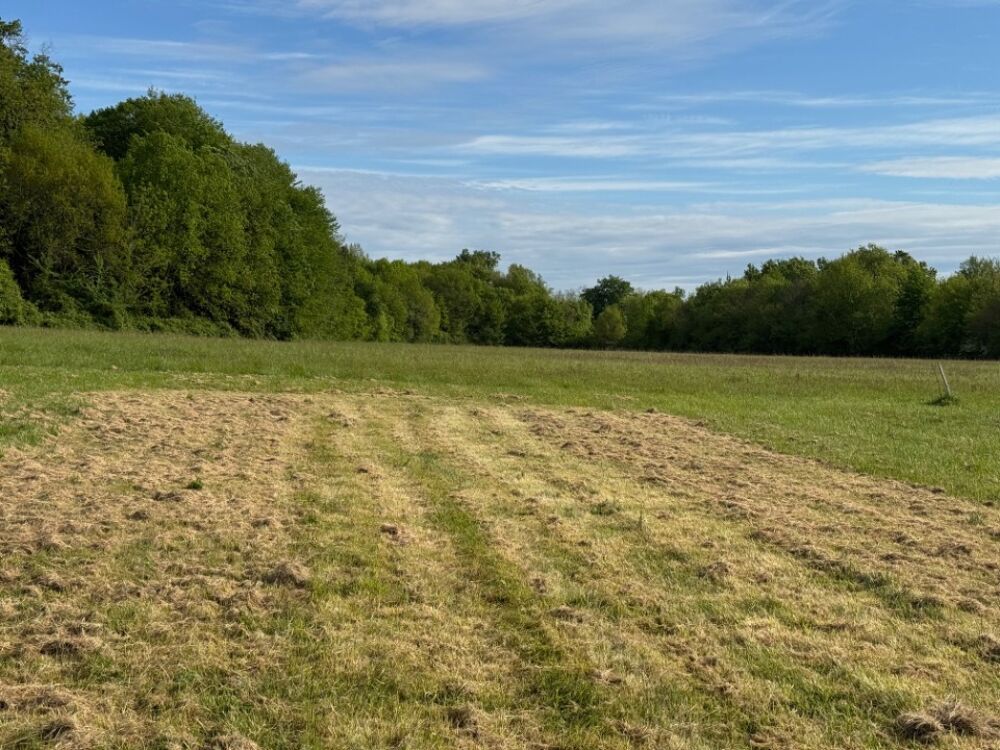 vente Terrain - 1050 m� Saint-Germain-d'Esteuil (33340)