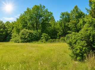  Terrain à vendre 300 m²
