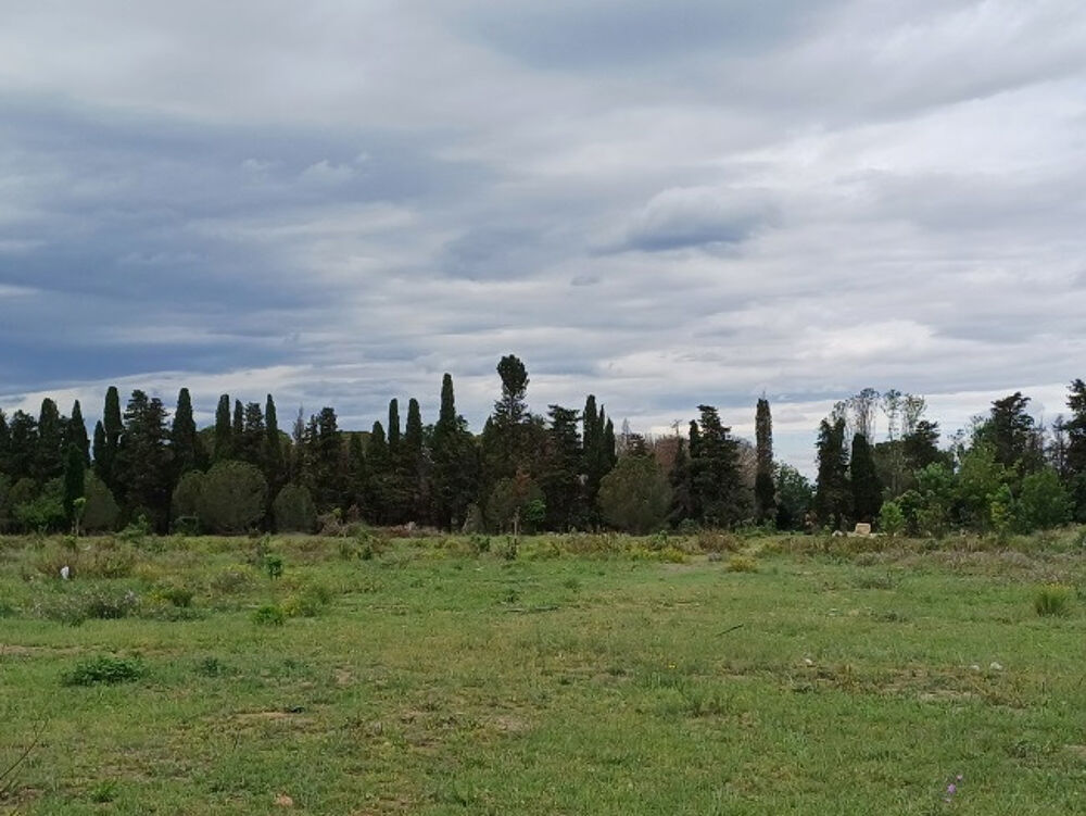 vente Maison - 6 pièce(s) - 160 m² Palau-del-Vidre (66690)
