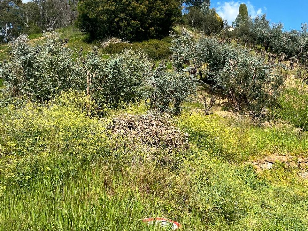 vente Terrain - 900 m² La Roquette-sur-Siagne (06550)