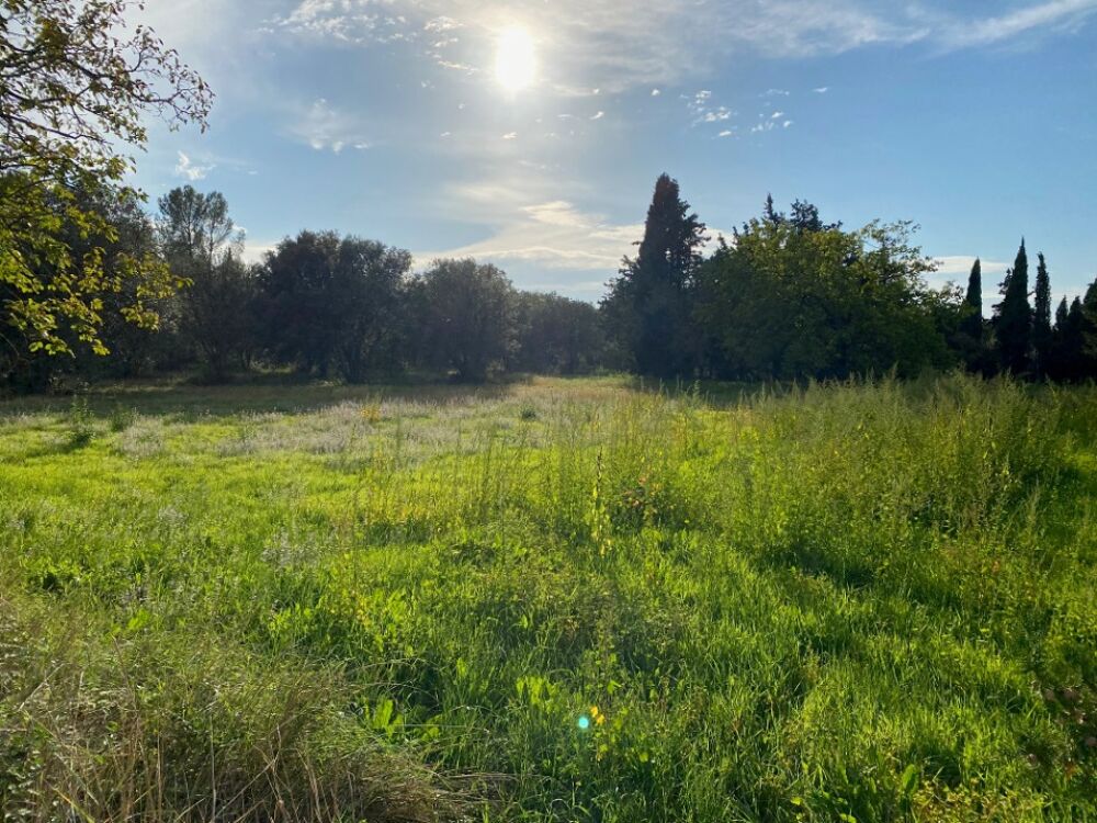 vente Terrain - 522 m² Grillon (84600)
