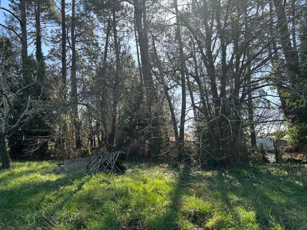 vente Terrain - 850 m² Andernos-les-Bains (33510)