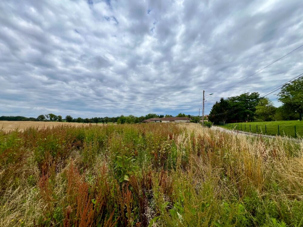 vente Terrain - 600 m² Saint-Martin-le-Châtel (01310)