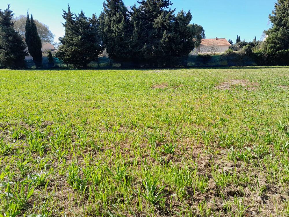 vente Terrain - 500 m² Aubignan (84810)