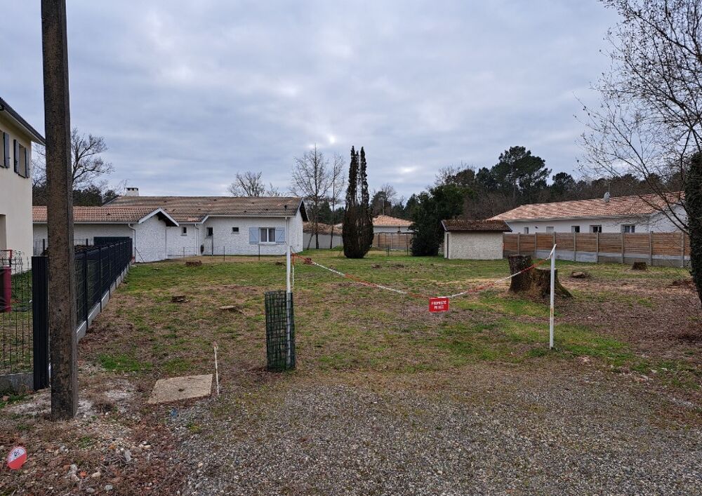 vente Terrain - 1014 m² Audenge (33980)