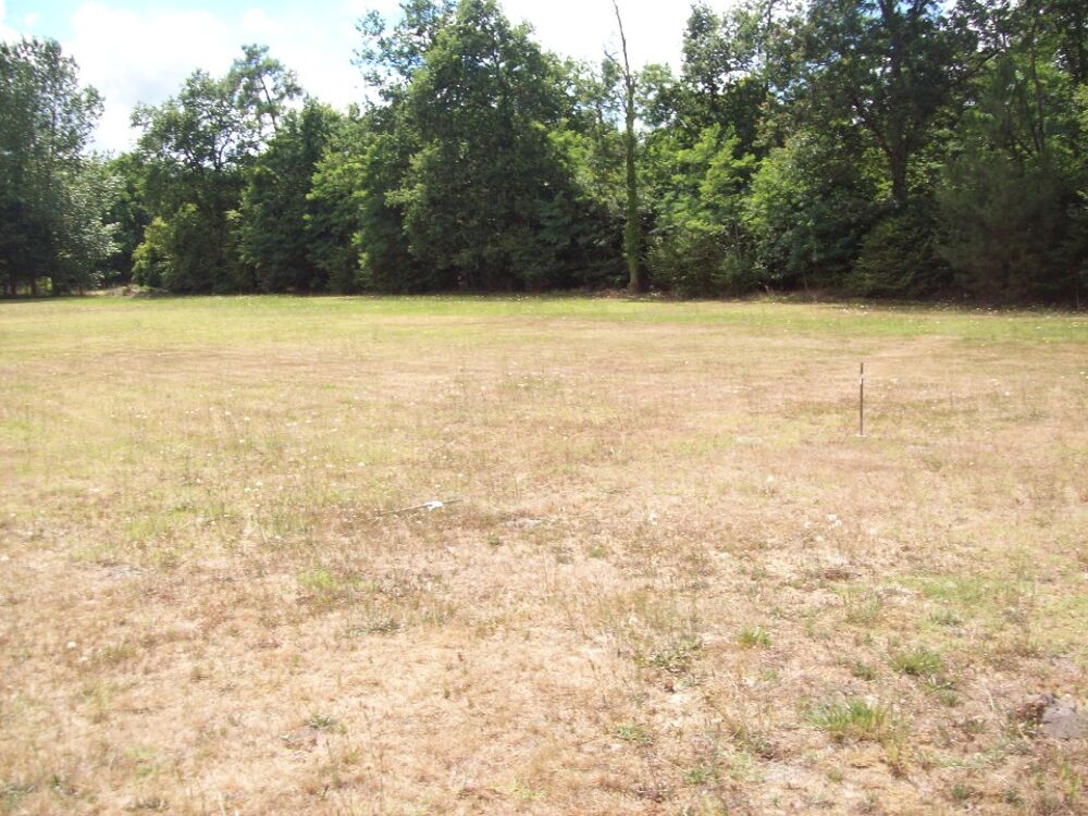 vente Terrain - 502 m² Saint-André-de-Cubzac (33240)