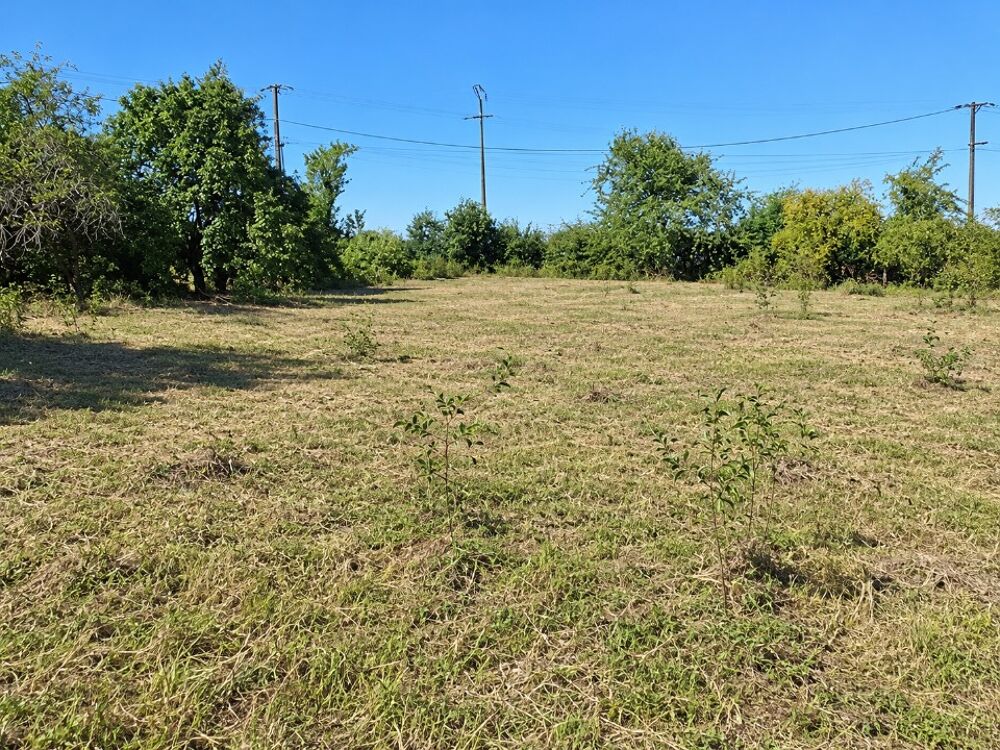 vente Maison - 5 pièce(s) - 82 m² Mehun-sur-Yèvre (18500)