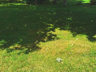  Terrain  vendre 495 m