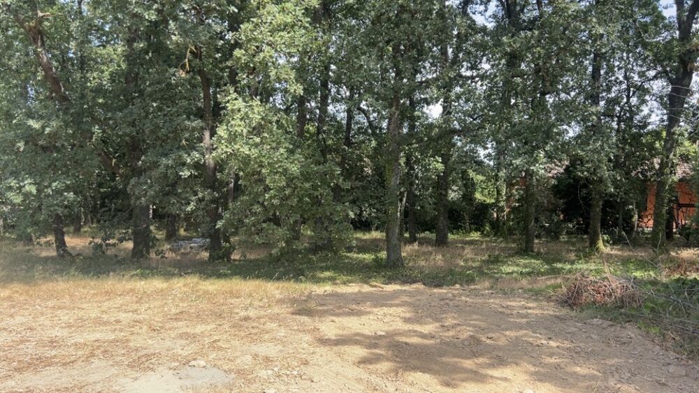 vente Terrain - 750 m² Plaisance-du-Touch (31830)