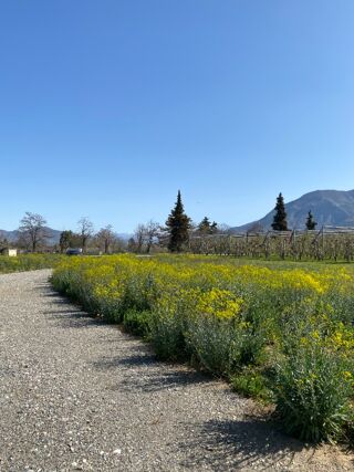  Terrain � vendre 766 m�