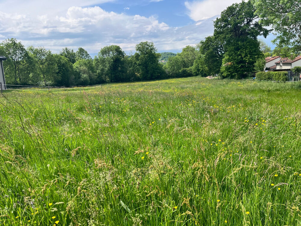 vente Terrain - 1600 m² Jussac (15250)