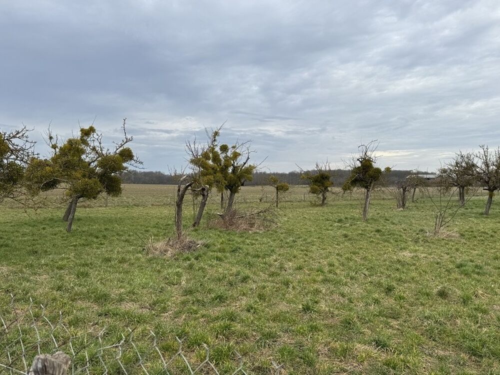 vente Maison - 8 pièce(s) - 155 m² Bû (28410)