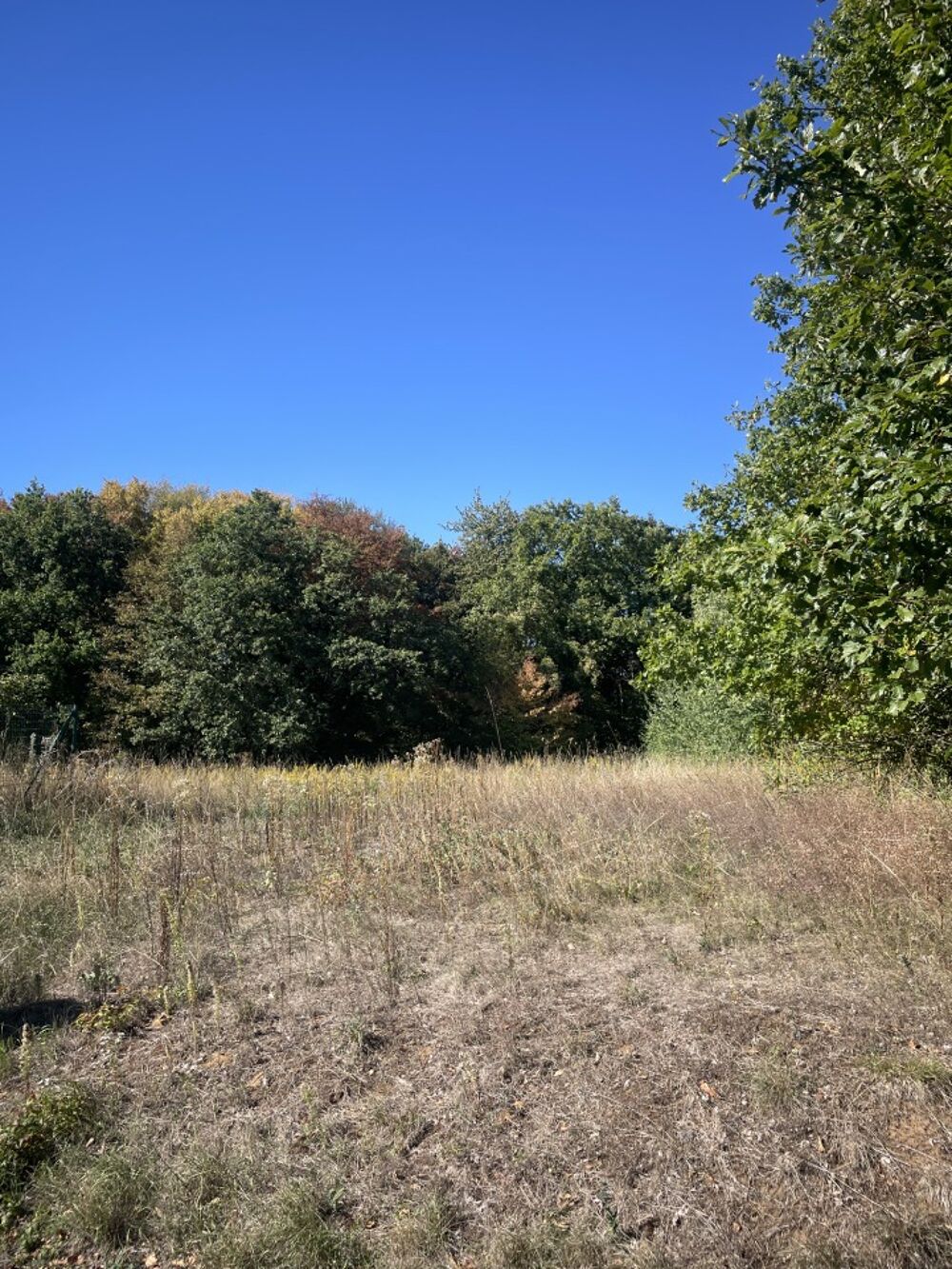 vente Maison - 4 pièce(s) - 120 m² Boust (57570)