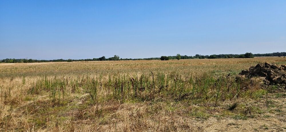vente Maison - 6 pièce(s) - 140 m² Lamasquère (31600)
