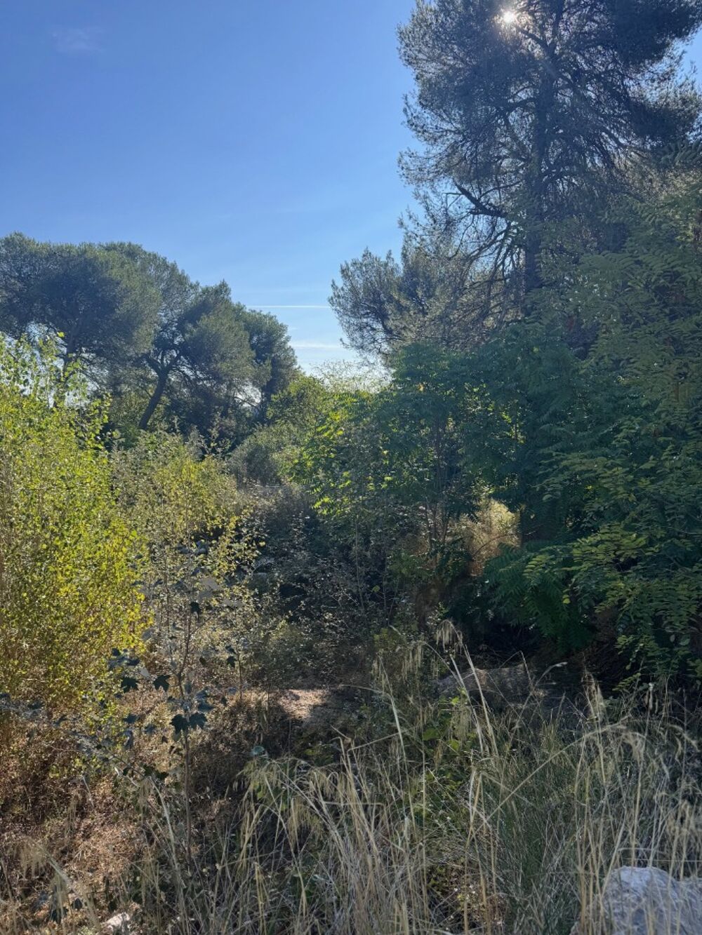 vente Maison - 4 pièce(s) - 100 m² Lambesc (13410)