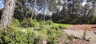  Terrain  vendre 926 m