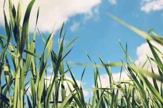  Terrain � vendre 640 m�