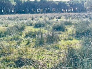  Maison � vendre 3 pi�ces 100 m�