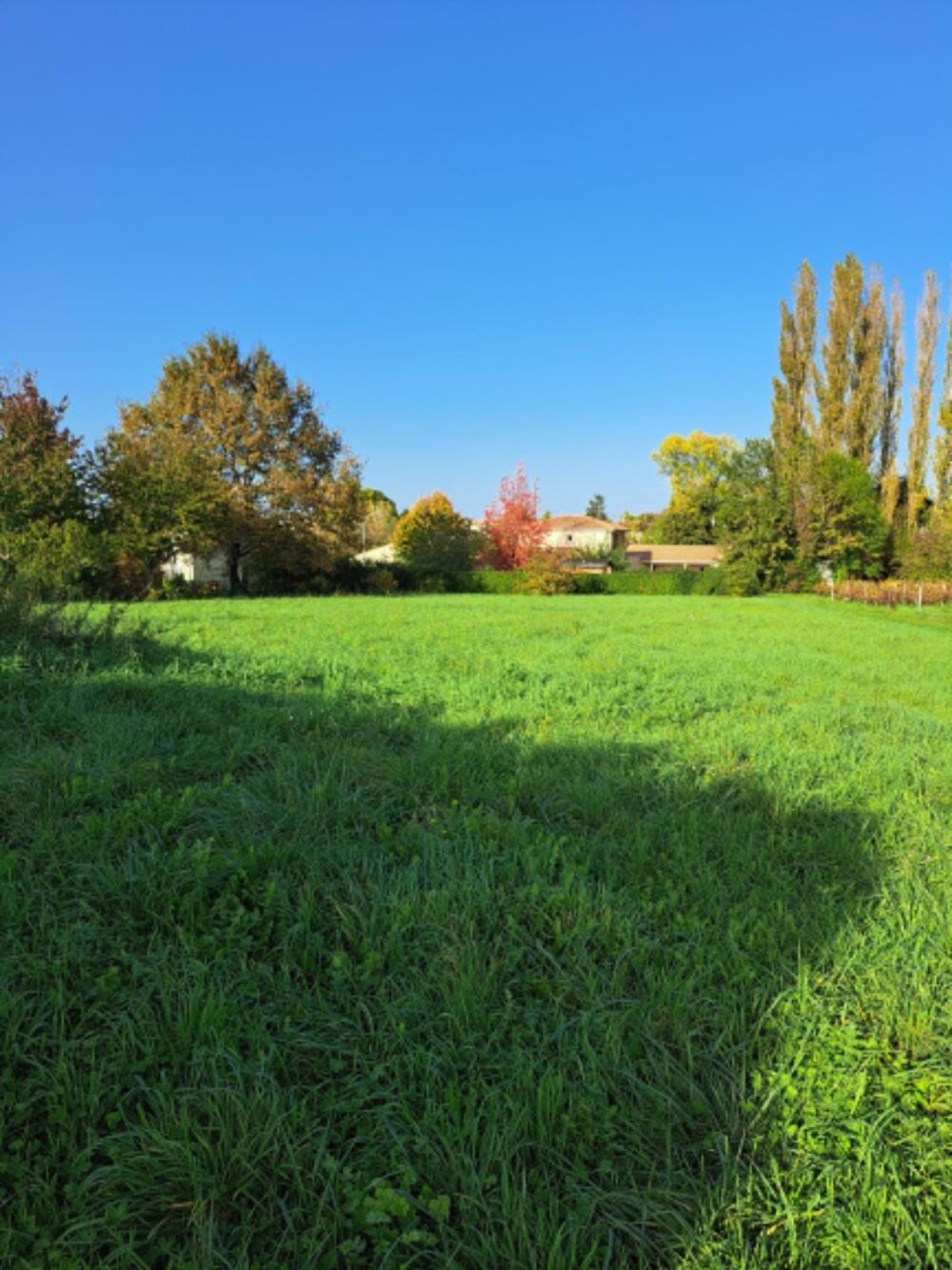 vente Terrain - 800 m² Saint-Denis-de-Pile (33910)