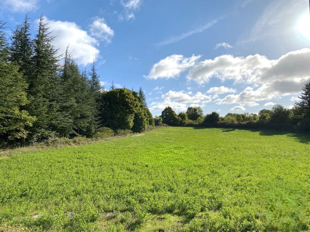 vente Terrain - 905 m² Pézenas (34120)
