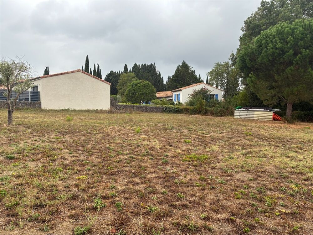 vente Terrain - 1093 m² Sainte-Eulalie (11170)