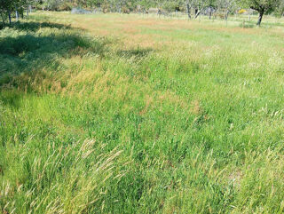  Terrain � vendre 790 m�