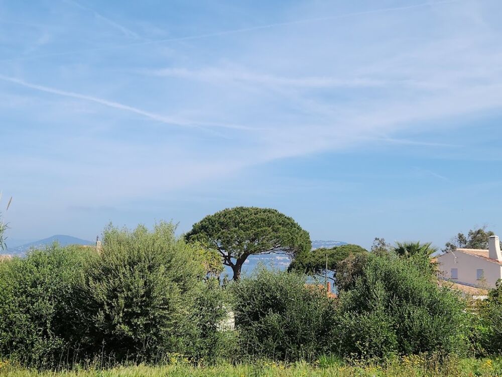 vente Terrain - 850 m² Hyères (83400)