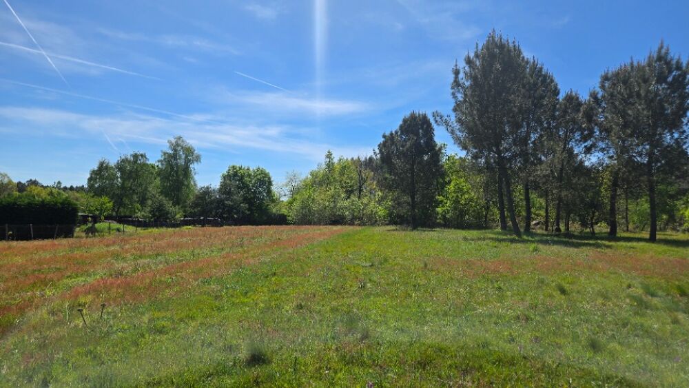 vente Maison - 1 pièce(s) - 85 m² Aubie-et-Espessas (33240)