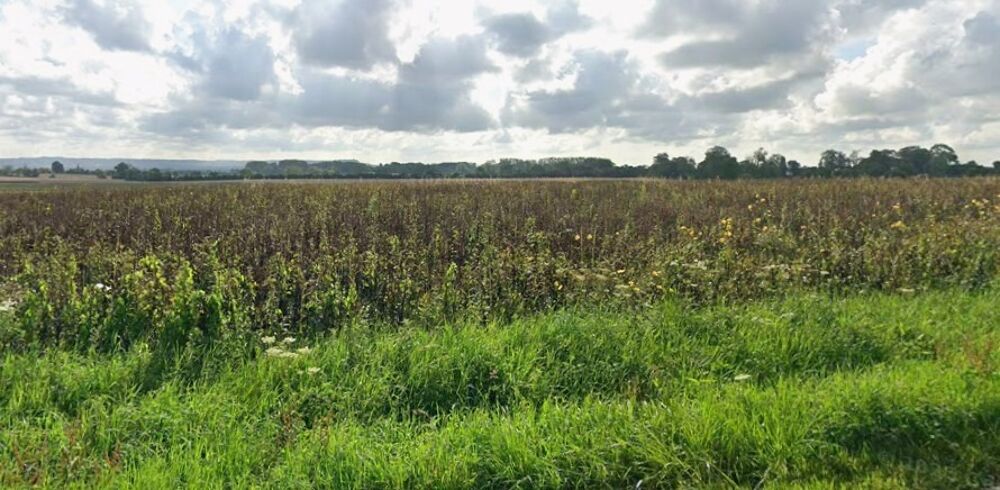vente Terrain - 1202 m² Gonneville-en-Auge (14810)